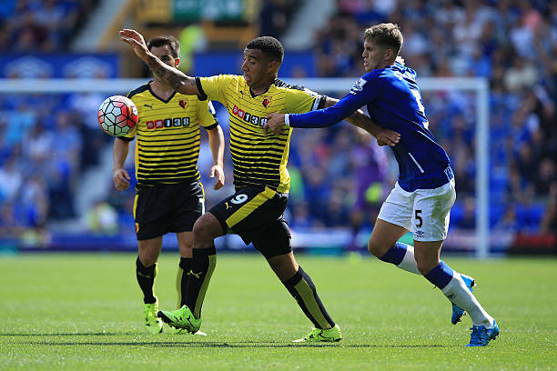 还具有极佳 还具有极佳